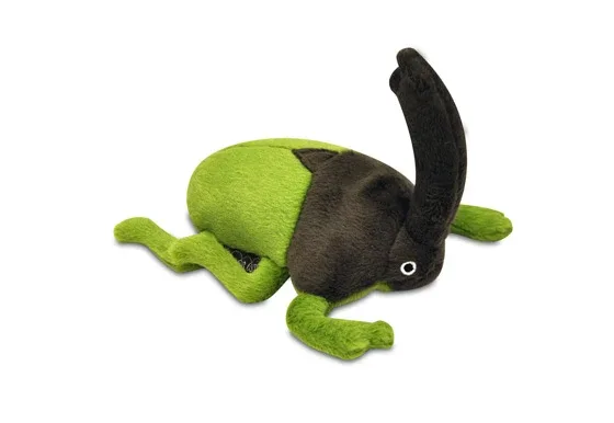 Bugging Out Ryan the Rhino Beetle
