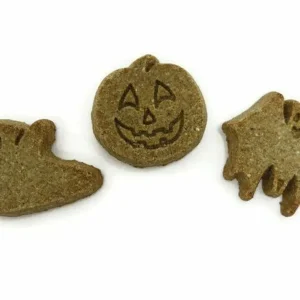 Wet Noses Treats Howlin' Goodies Pumpkin Small Bone BULK Crunchy Dog Treats - Case of 10 lb