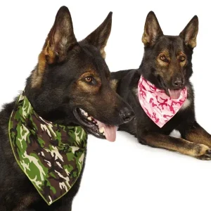 Aria Camo Bandanas