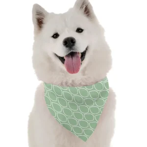 BanDoggie Mint Dog Bandana - Fresh and Stylish Design