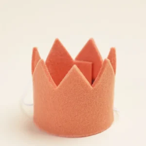 NEUTRAL PARTY CROWNS