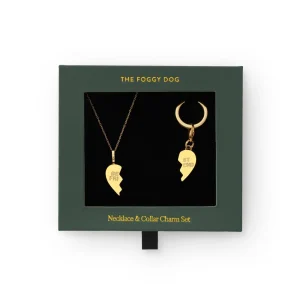Best Friends Furever Necklace and Collar Charm Set