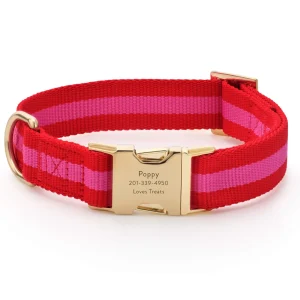 Charlotte Striped Webbing Dog Collar
