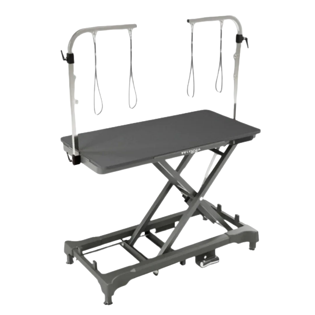 52" Dog Grooming 999 Electric Table without Drawer by Waggz - Image 2