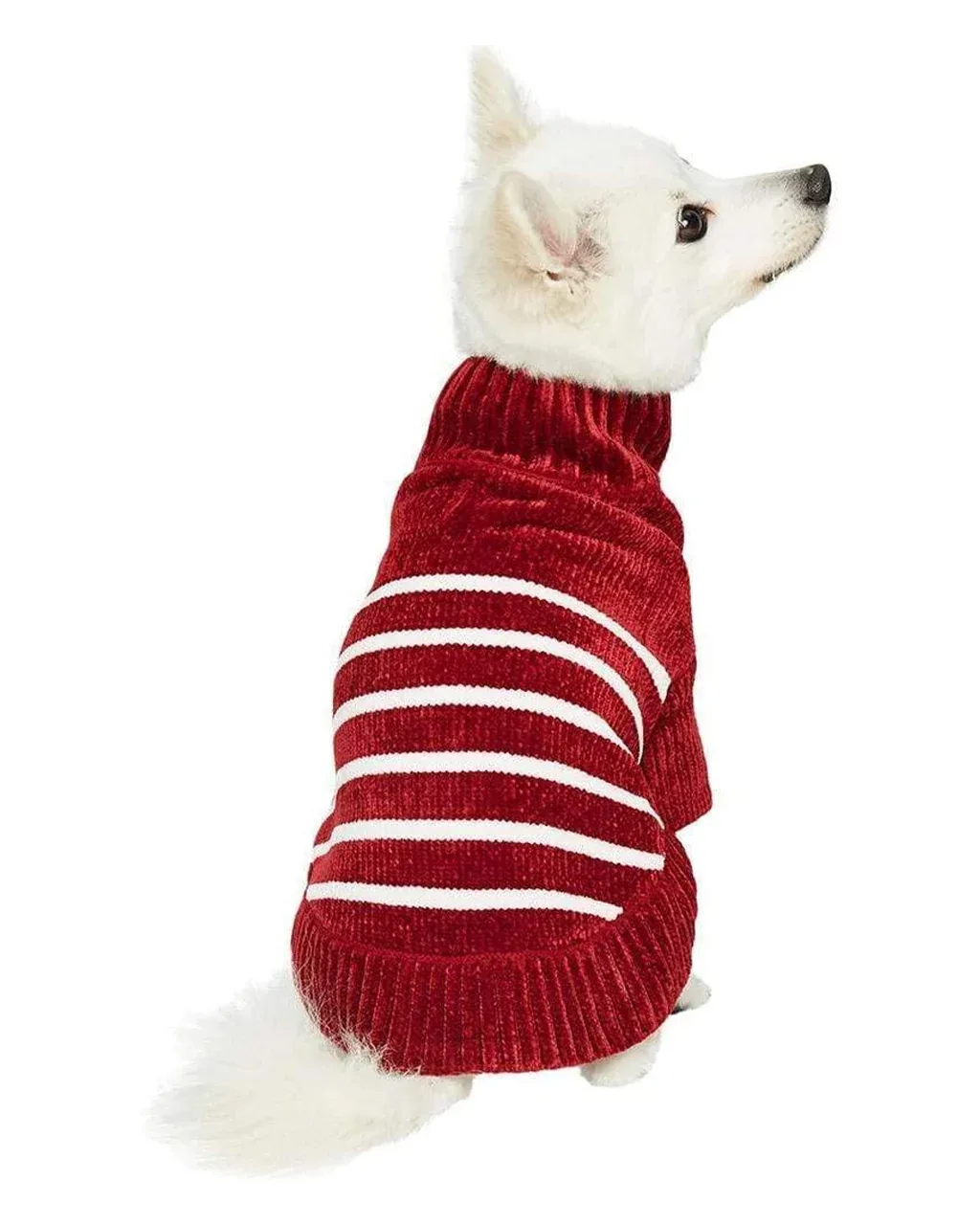 FESTIVE STRIPED DOG SWEATER - Image 2