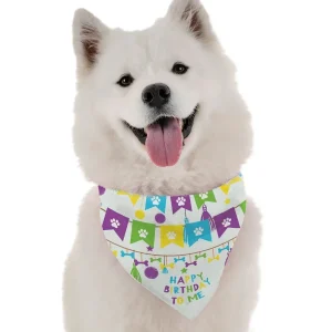 BanDoggie Happy Birthday To Me Boy Dog Bandana - Birthday Microfiber, USA Made