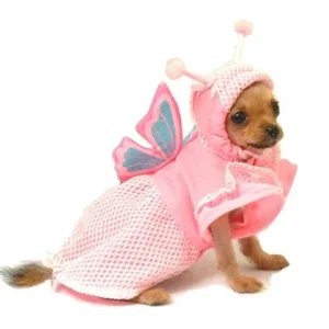 Lady Butterfly Costume