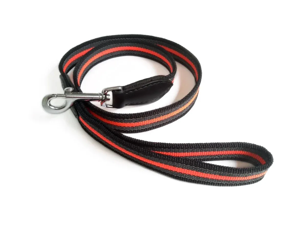 Reflective Anti-Slip Snap Dog Leash (6 ft x 1 in)