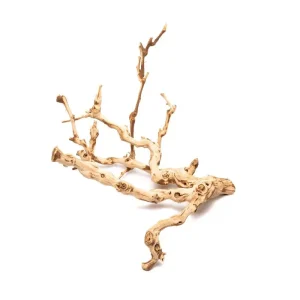 Grape Wood (Small) 8-14"