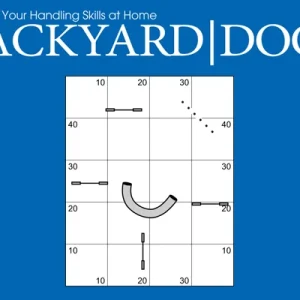 Clean Run Backyard Dogs Episode 3: Layering Obstacles