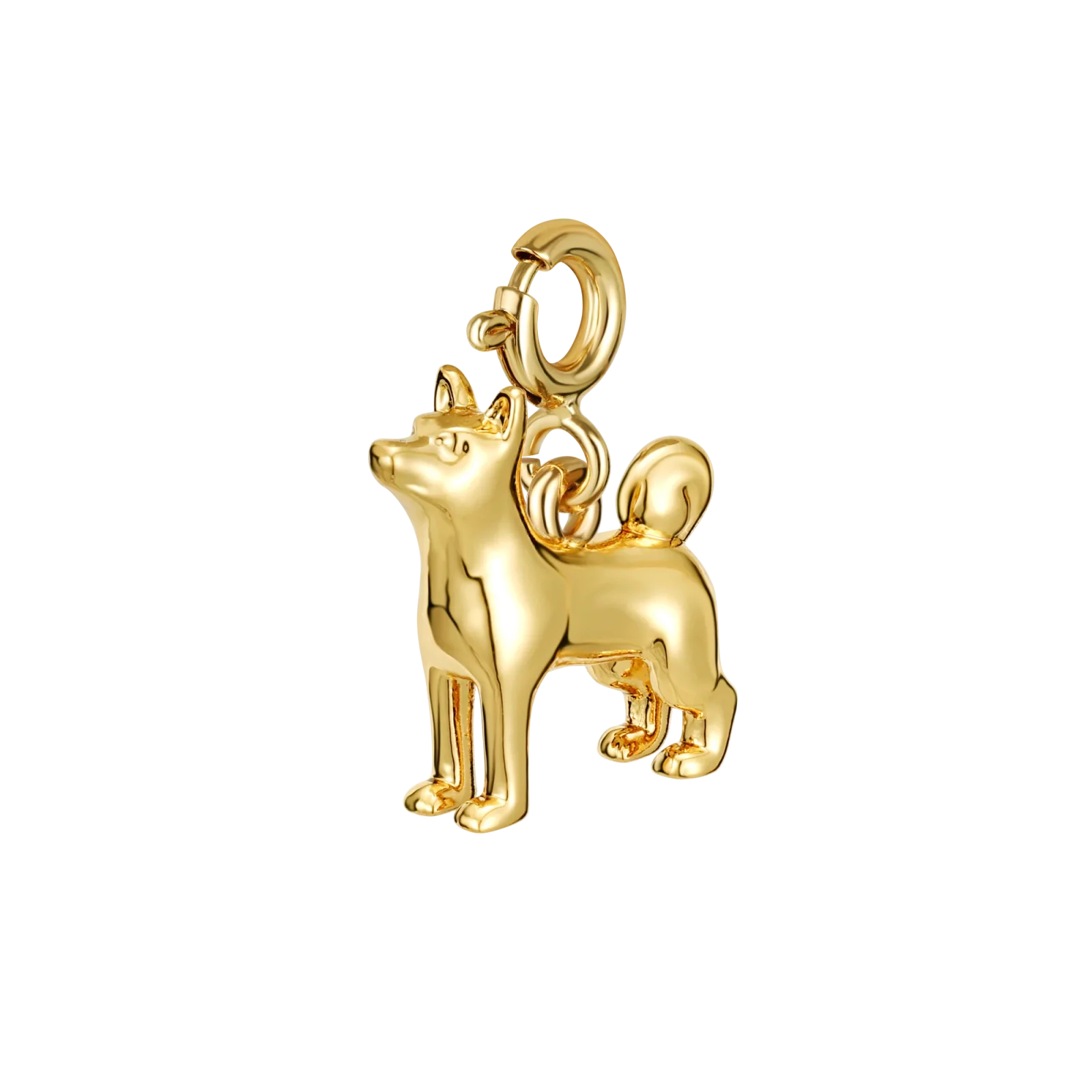 Shiba - Image 2