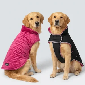 Skatrs Reversible Velvet Jacket for Dogs and Cats (Maroon/Black)