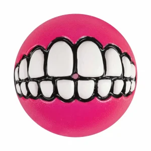 KONG Grinz by ROGZ Dog Fetch Dog Toy Assorted