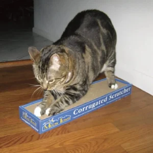 MT Corrugated Scratcher, 19 in