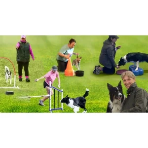 Clean Run Plan a WOW Winter for Your Agility Dog - A Training Summit