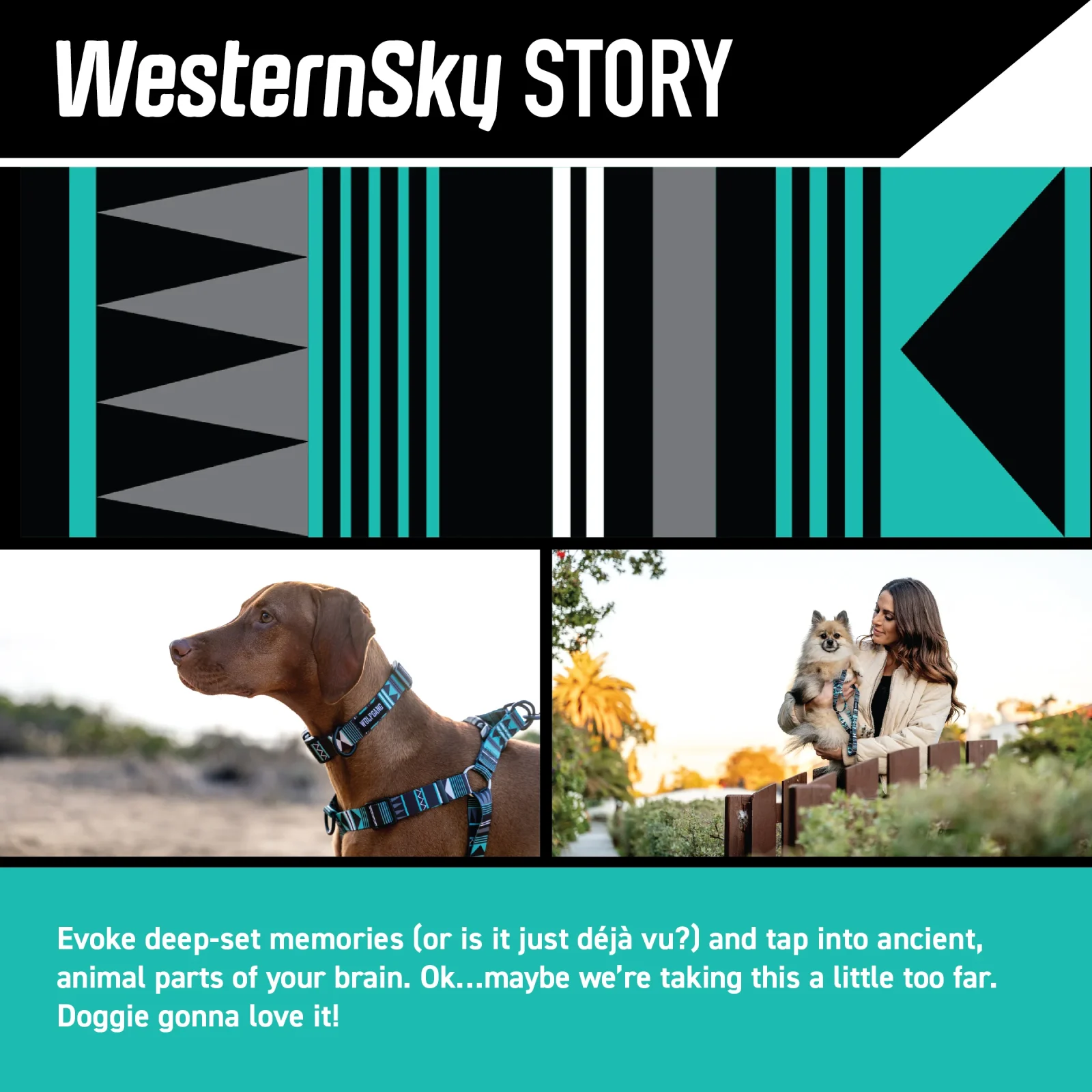 WesternSky Dog Collar - Image 2