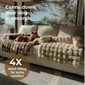 Luxurious Sofa Bed