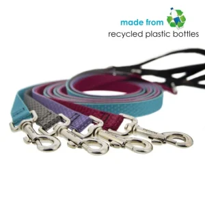 ECO Padded Handle Dog Leash