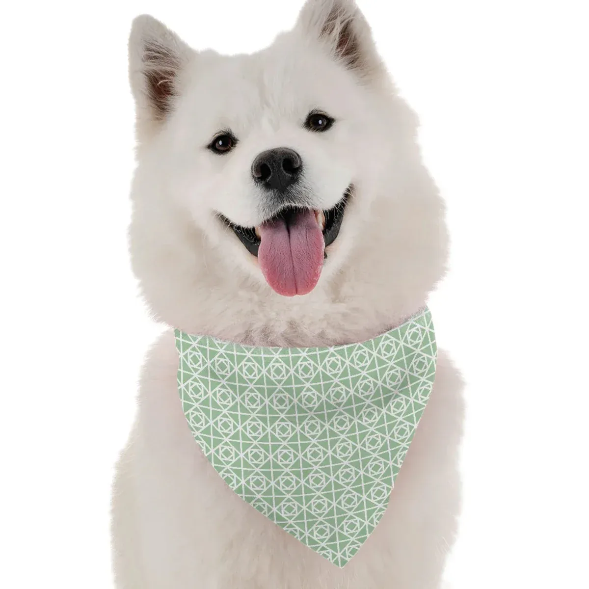 BanDoggie Savannah Dog Bandana - Contemporary Grassland Design - Image 2