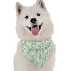 BanDoggie Savannah Dog Bandana - Contemporary Grassland Design