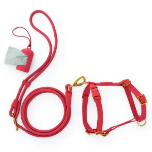 Active Everyday Harness Walk Set (XS/S), Ember