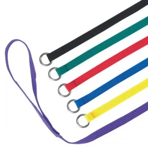 Guardian Gear Kennel Leads 6 ft 6 ct