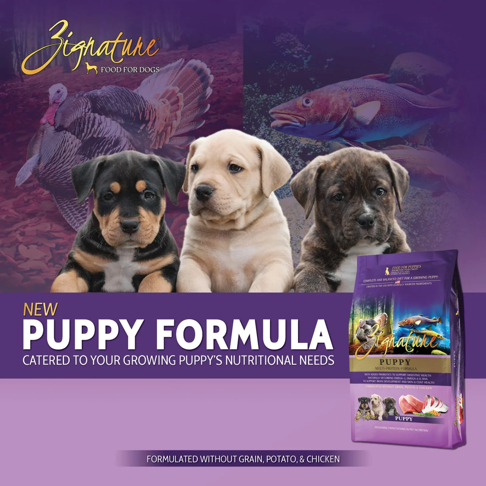 Zignature Grain Free Dry Puppy Food - Image 2