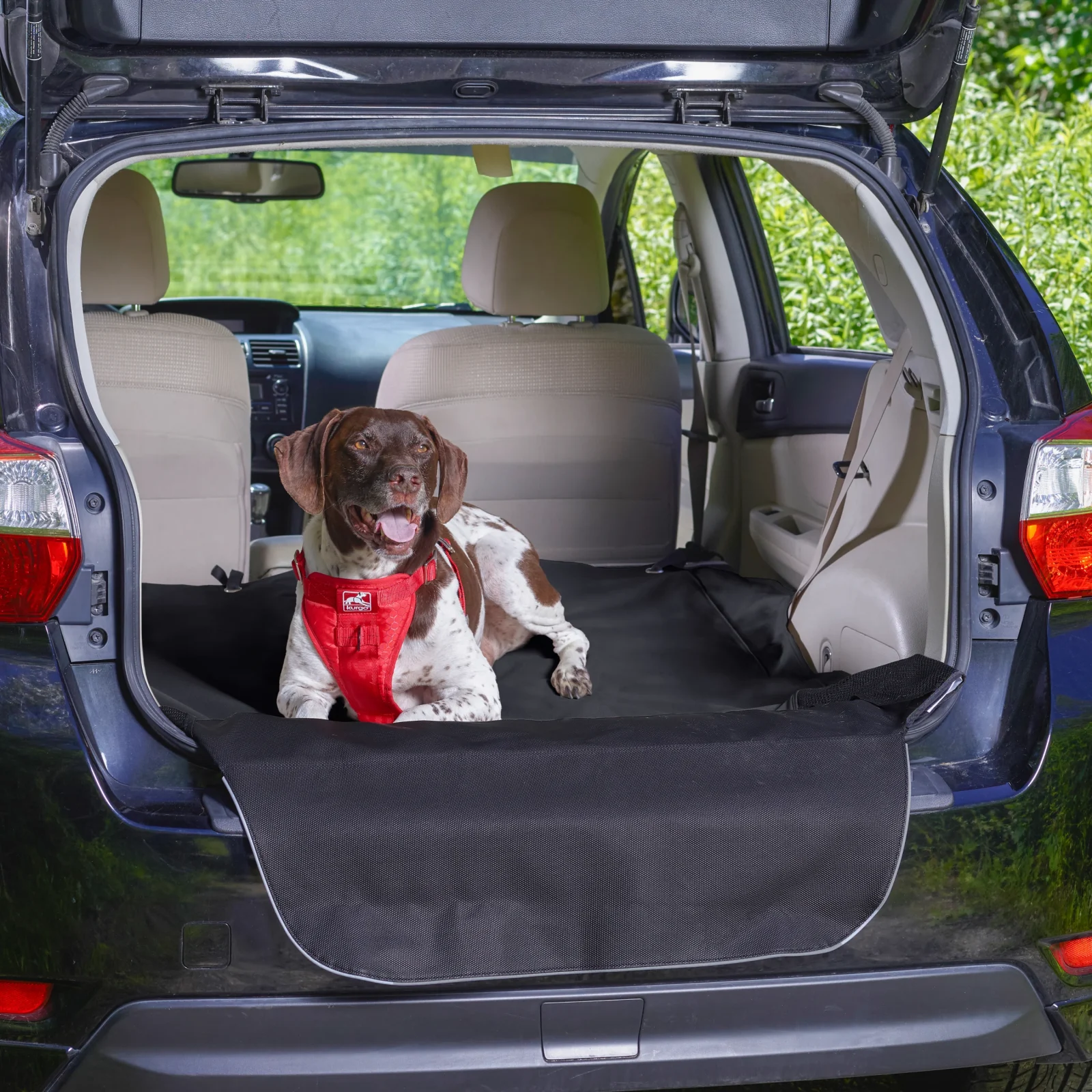 Rover Cargo Cape