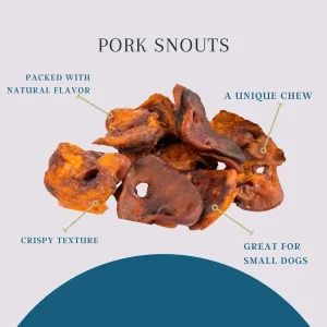 Platinum Pet Dog Treats - Pork Snouts (10 ct)