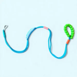 Talking Dog Club Extra Strong Vivid Handle Leash for Dogs (Blue/Green)