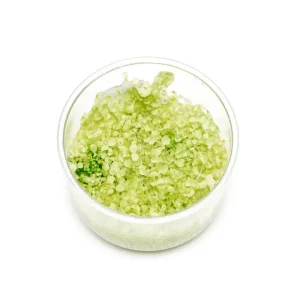 Micranthemum Tweediei 'Pearl White' UNS Tissue Culture