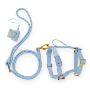 Active Everyday Harness Walk Set - With Handle (M/L), Alpine
