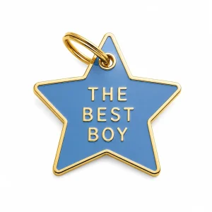 The Best Boy Pet ID Tag