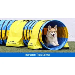 Clean Run The Handler's Toolbox - All Things Tunnel