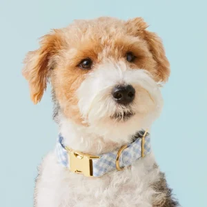 Sky Blue Gingham Dog Collar