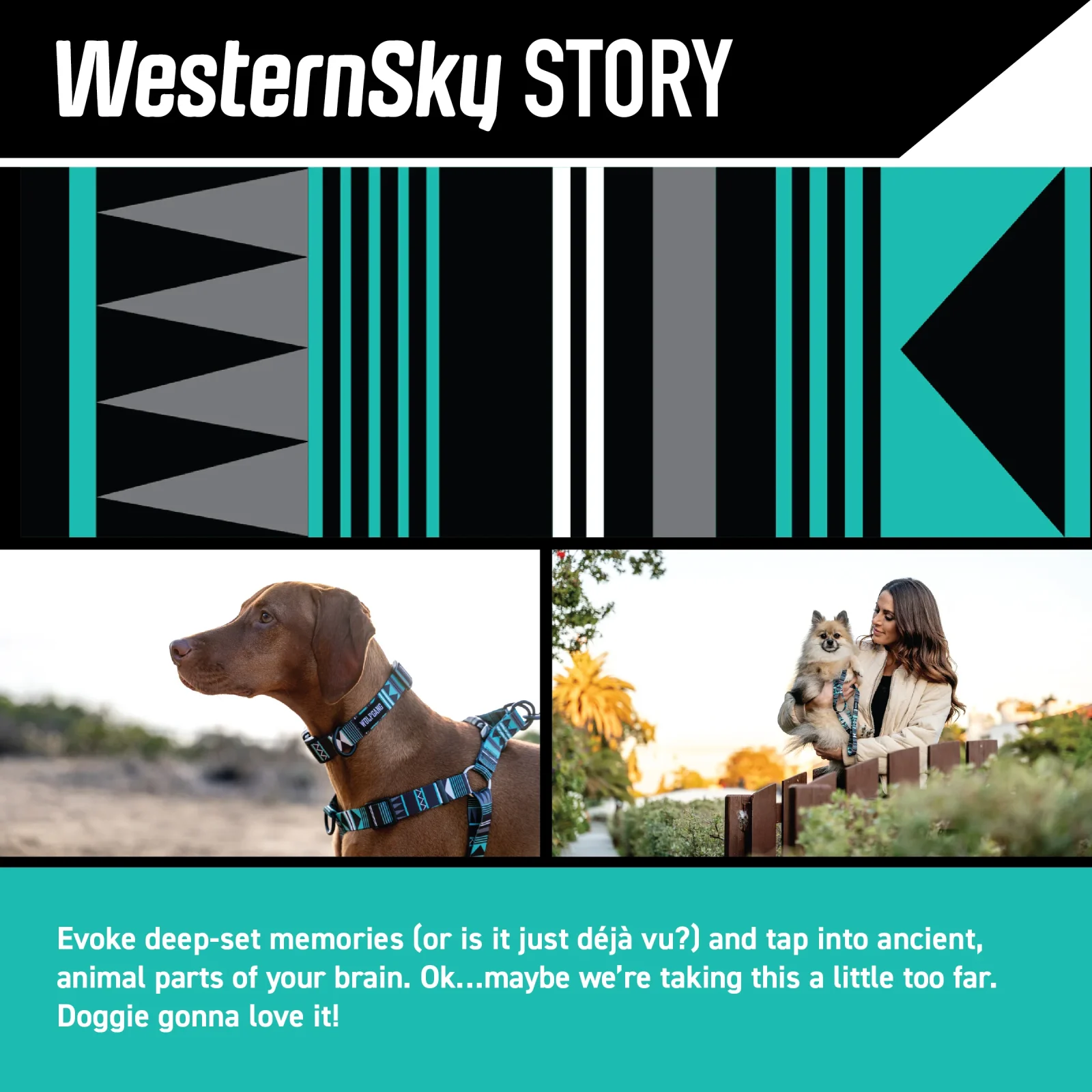 WesternSky Dog Leash - Image 2