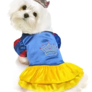 Snow Princess Costume