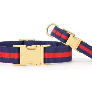 Mariner Striped Webbing Dog Collar