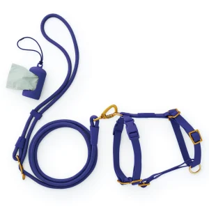 Active Everyday Harness Walk Set (XS/S), Azure