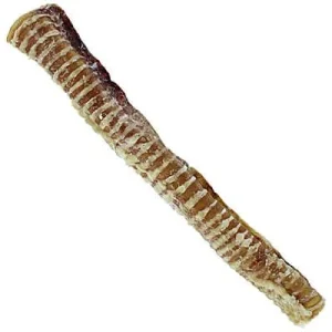 Clean Run Bark 'N Big USA Beef Trachea - 10-12 in.