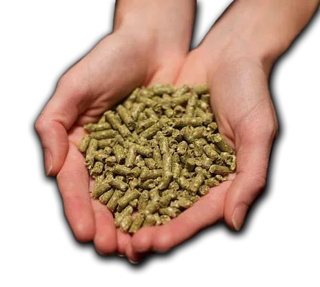 Organic Parrot Pellets (8lbs) - Image 2
