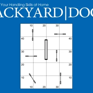 Clean Run Backyard Dogs Episode 2: Cues for Tunnels
