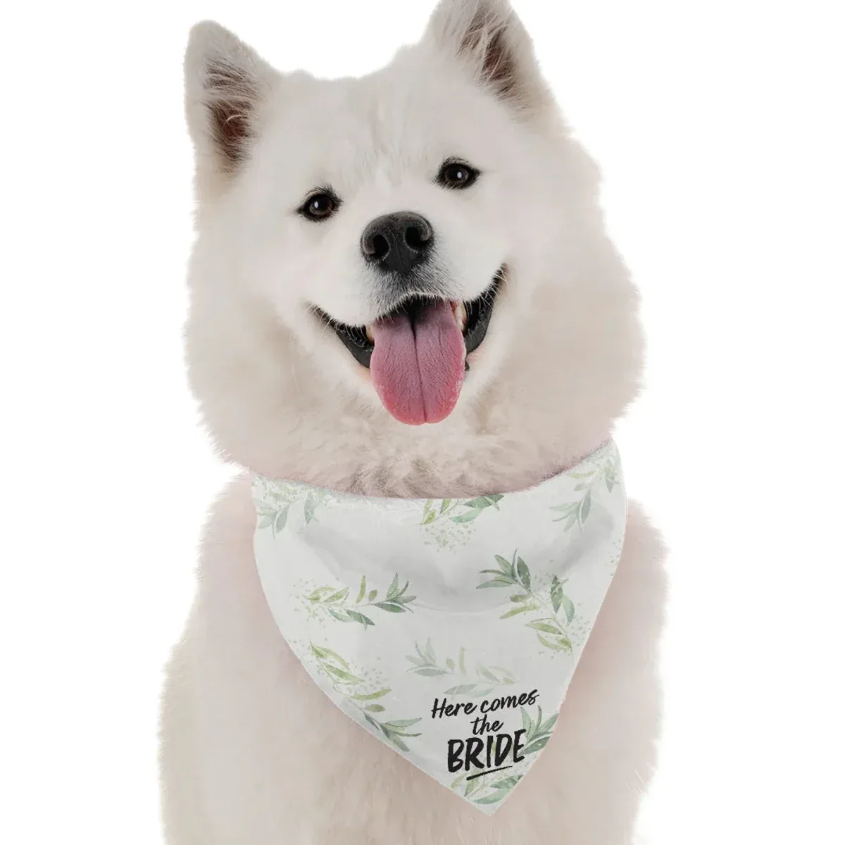 BanDoggie Here Comes the Bride Dog Bandana - Wedding Celebration Style - Image 2