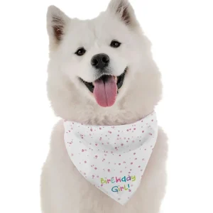 BanDoggie Birthday Girl Dog Bandana - Birthday Celebration
