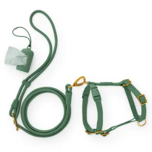 Active Everyday Harness Walk Set (XS/S), Fern