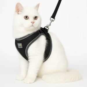 Zoivane Harness for Cats (Black)