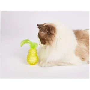 Fofos Fruity Netting Ball Toy for Cats