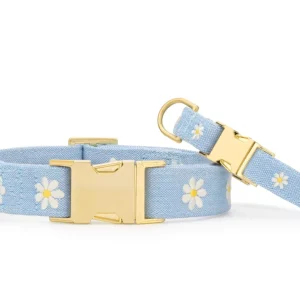 Daisy Embroidered Dog Collar