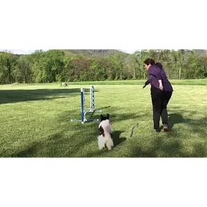 Clean Run The Handler's Toolbox - The Opposite Arm