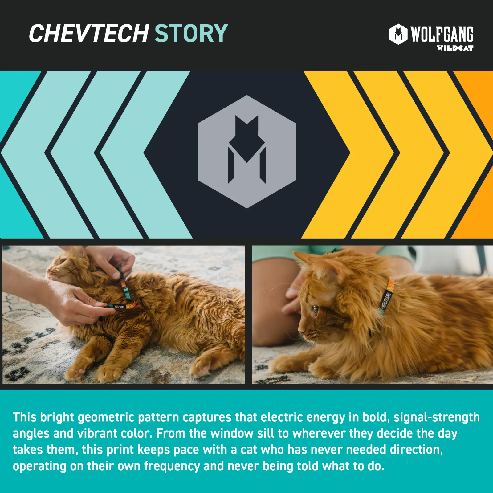 ChevTech Venture Cat Collar - Image 2